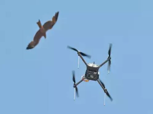 Adani Firm Flies High In Tackling Rogue Drones