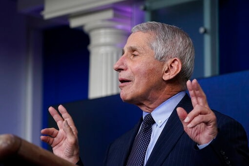 EXPLAINED: How Anthony Fauci's Emails Have Reignited Covid-19 Wuhan Lab Leak Theory