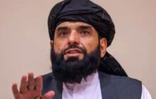 India Should Not Give Current Kabul Administration Any Military Support: Taliban’s Suhail Shaheen