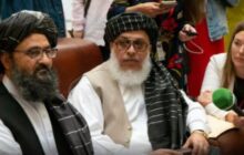 'Keep Us Out': Taliban Foreign Affairs Chief Says India, Pakistan Can Fight Among Themselves on Border