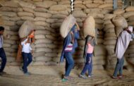 India Sends Consignment Of 3,000 Tonnes Of Wheat To Afghanistan