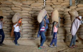 India Sends Consignment Of 3,000 Tonnes Of Wheat To Afghanistan