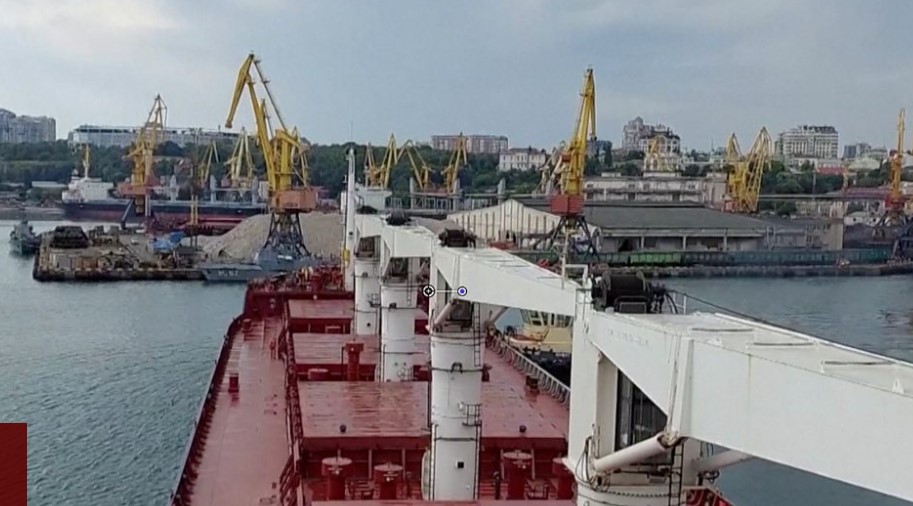Ukraine War: First Grain Ship Leaves Under Russia Deal