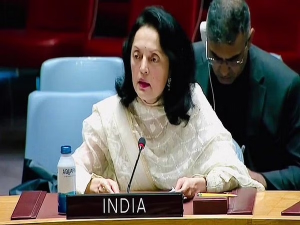 UNSC: India’s Peacekeeping Credentials Need No Elaboration, Says Ambassador Kamboj