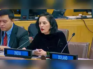Is UNSC Effective To Address Contemporary Challenges Global Security, India Asks At UNGA