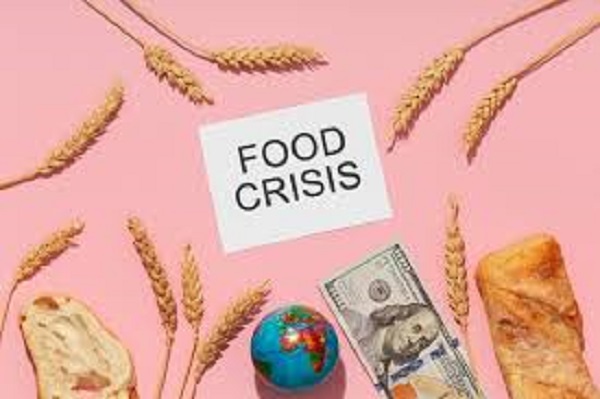 जागतिक अन्न संकट अधिक गहिरे, UNच्या अहवालातून उघड