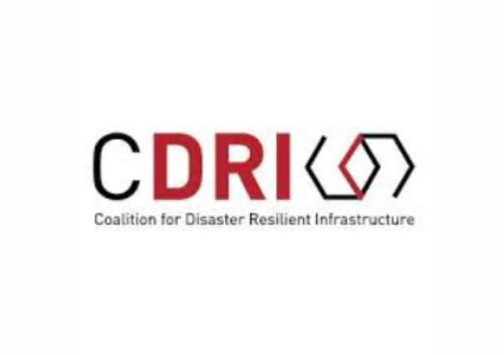 Coalition for Disaster Resilient Infrastructure