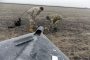 U.S. And U.K. To Allow Ukraine To Hit Targets Deep Inside Russia?