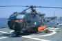 Navigating Challenges: Army's Urgent Need for Light Helicopters