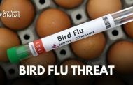 अमेरिकेत Bird Flu च्या पहिल्या गंभीर मानवी प्रकरणाची नोंद