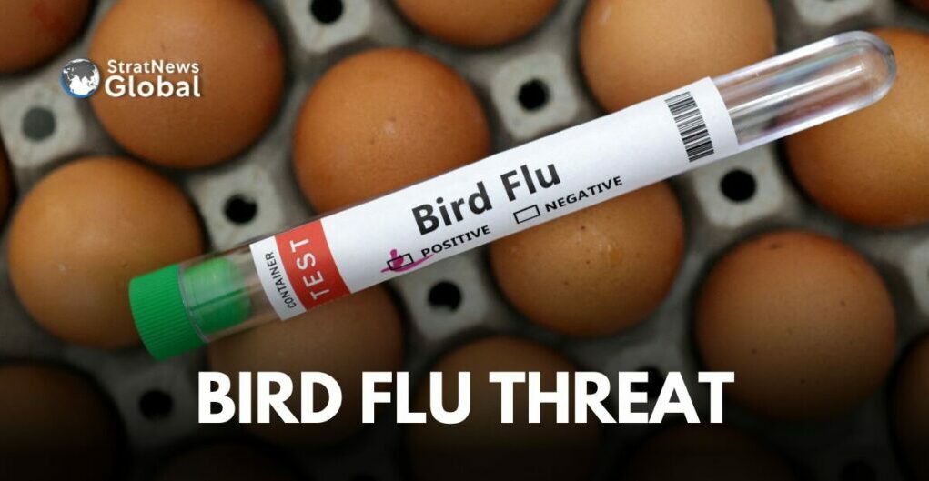 अमेरिकेत Bird Flu च्या पहिल्या गंभीर मानवी प्रकरणाची नोंद