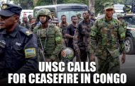 U.N. Security Council Calls For Ceasefire In Congo