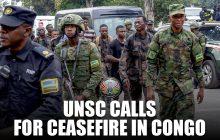 U.N. Security Council Calls For Ceasefire In Congo