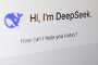 South Korean Spy Agency: Deepseek Collects Personal Data Excessively