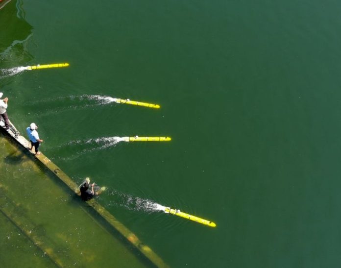 Autonomous Underwater Vehicles